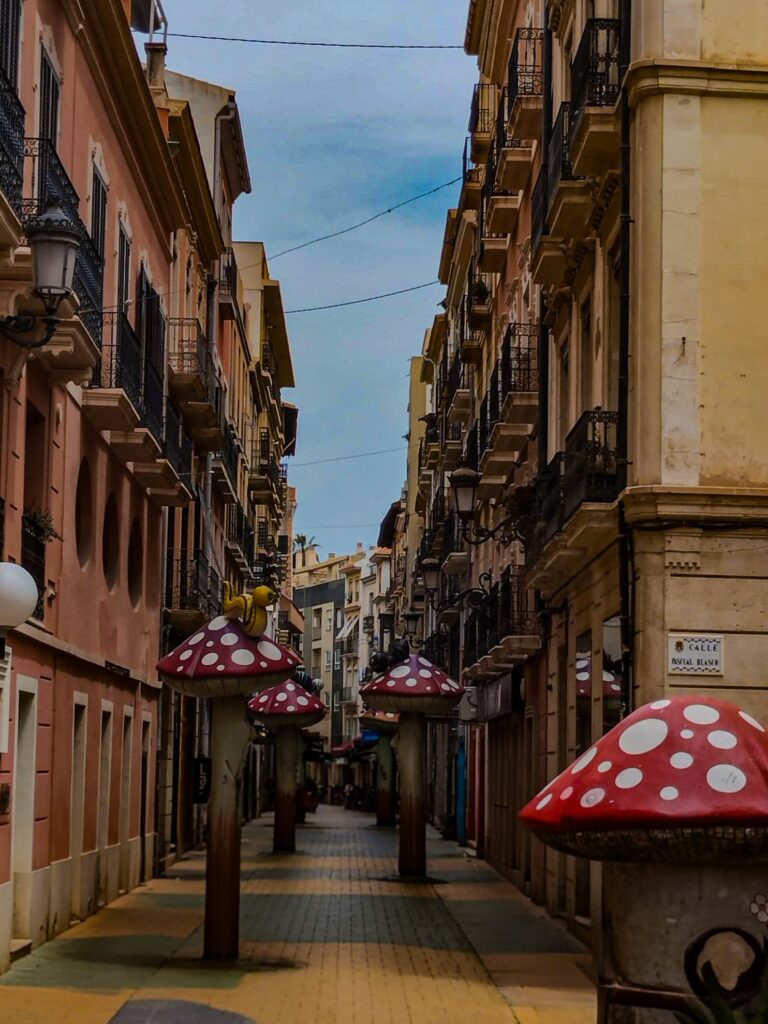 Ulica Grzybów w Alicante